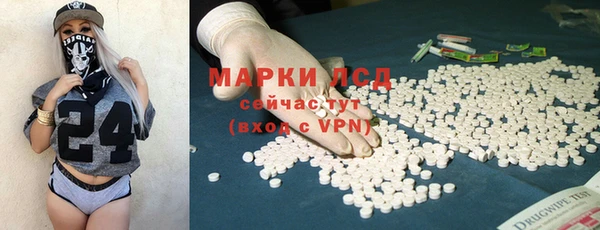 спиды Нефтекумск