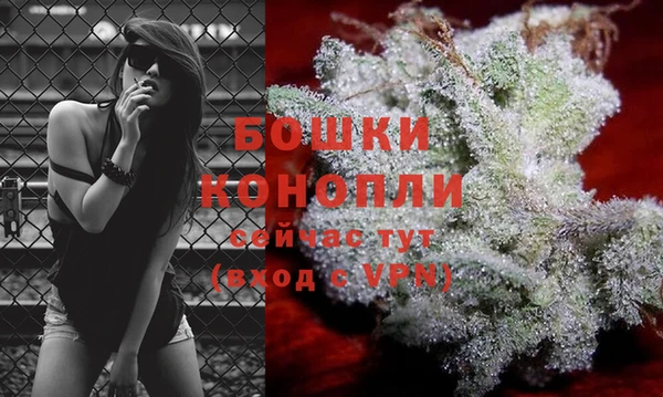 МДПВ Болотное