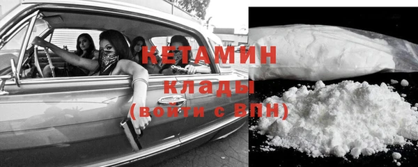 прущие грибы Нея